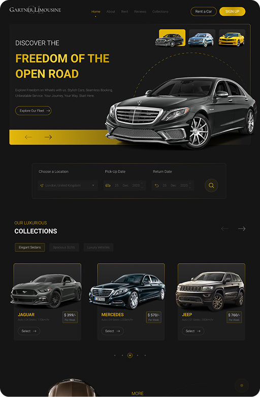 Business software project by Wisedesk